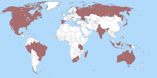 world-map-rodonit-500.png